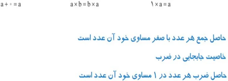 فعالیت صفحه 29 ریاضی هفتم
