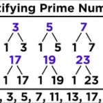 بخش پذیری بر اعداد اول